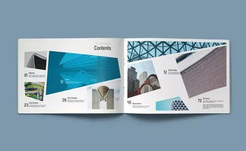 創(chuàng)意宣傳畫冊設計 企業(yè)營銷策劃與形象設計的融合藝術