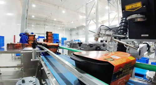 一盒自熱火鍋催熟產業集群 國內大循環下的消費新格局